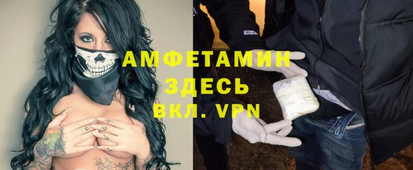 прущие грибы Баксан