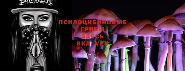 mdpv Белокуриха
