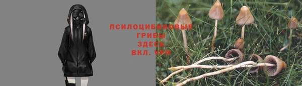 mdpv Белокуриха